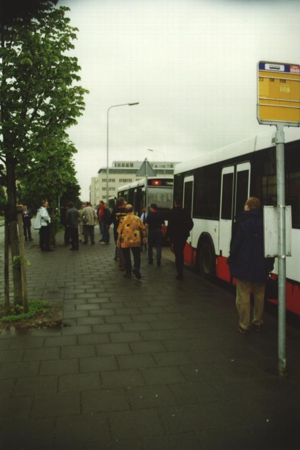 Busses leaving for the social event 